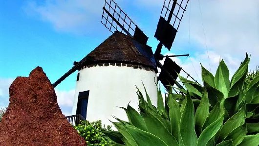AIDA, dWindmühle auf Fuerteventura Kanaren