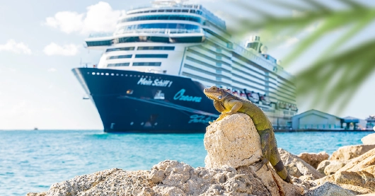 Mein Schiff 1 mit Echse im Vordergrund Mein Schiff 1 mit Echse im Vordergrund