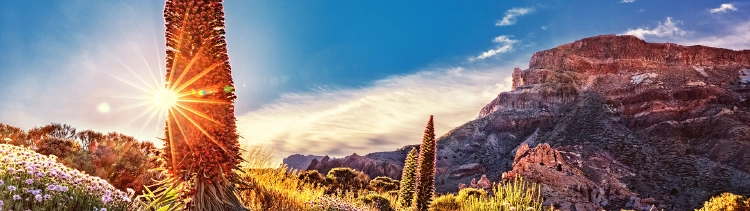 Sonnenuntergang Kanaren Teneriffa