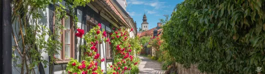 Nordeuropa Kreuzfahrt Schweden Visby