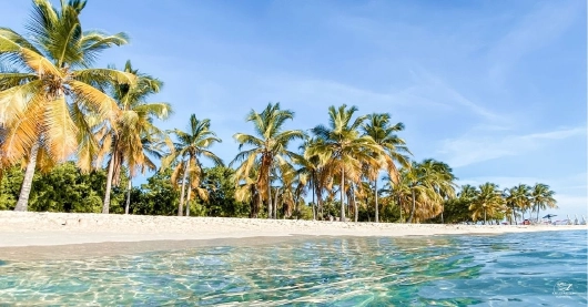 Karibik Sandstrand mit klarem Wasser Karibik Sandstrand mit klarem Wasser