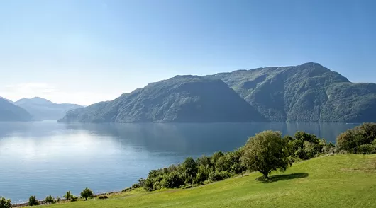 MSC Cruises Norddal Fjord in Norwegen