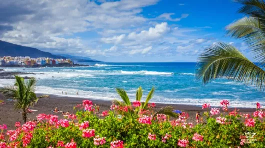 Mein Schiff Kreuzfahrten Kanaren