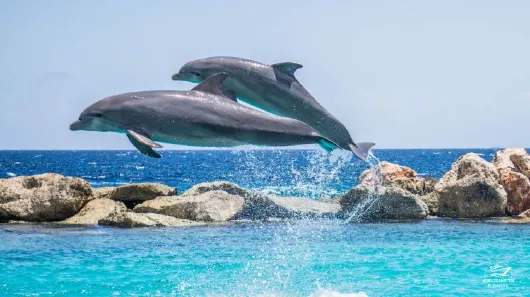 AIDA TRAVEL TUESDAY Fernreisen