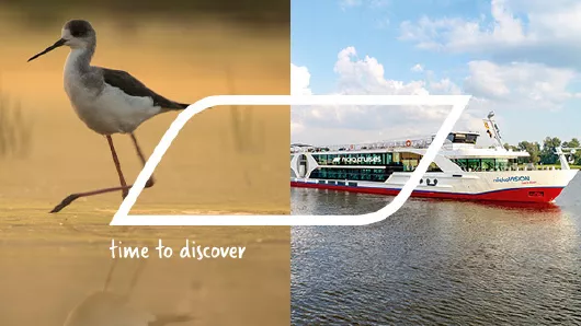 nicko cruises Flussreisen Donau Intensiv