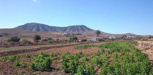 Fuerteventura Landschaft